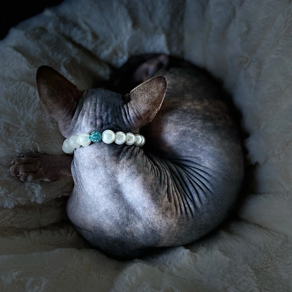 Magnetic clasp cat necklace/dog necklace